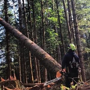 Meet your Posher, Danny